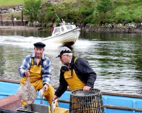 Golden'S Cove Apartments At Sneem Hotel Kültér fotó